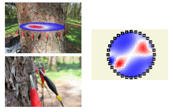 大宝娱乐-LG游戏|PT游戏|CQ9游戏