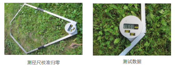 大宝娱乐-LG游戏|PT游戏|CQ9游戏