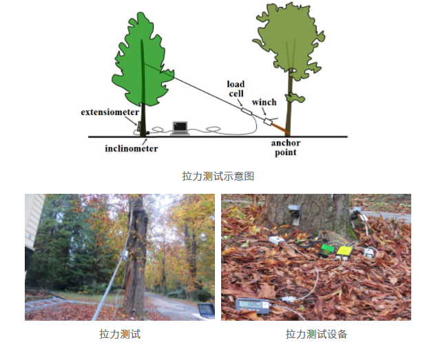 大宝娱乐-LG游戏|PT游戏|CQ9游戏