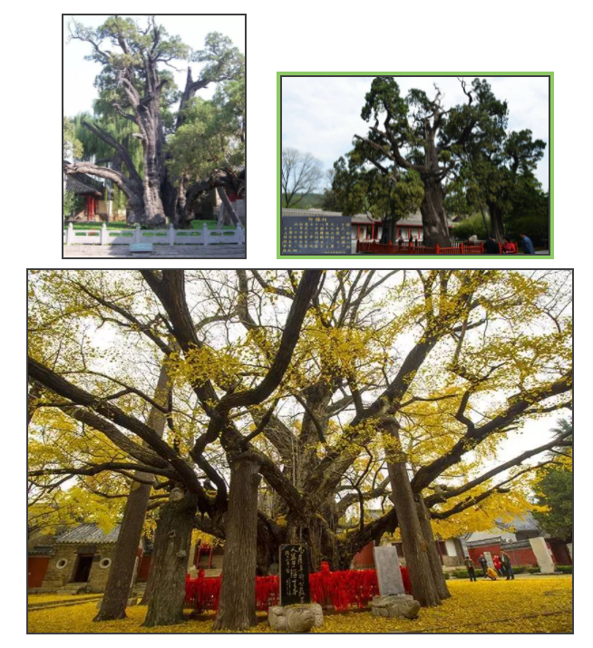 大宝娱乐-LG游戏|PT游戏|CQ9游戏