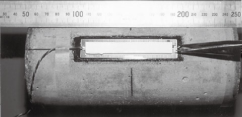 大宝娱乐-LG游戏|PT游戏|CQ9游戏
