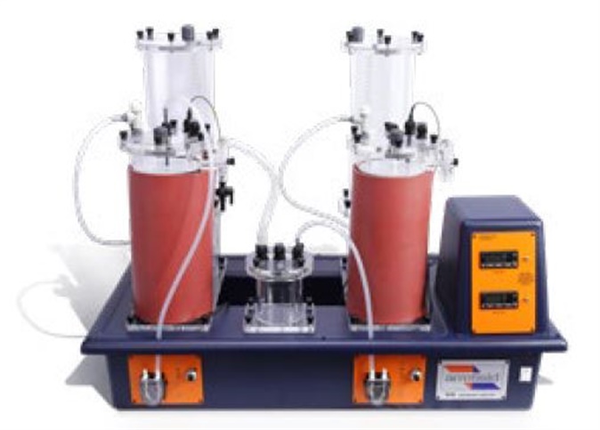 大宝娱乐-LG游戏|PT游戏|CQ9游戏