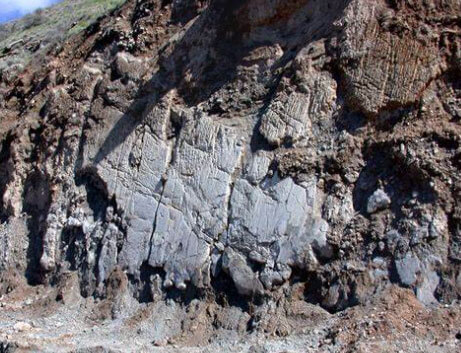 大宝娱乐-LG游戏|PT游戏|CQ9游戏