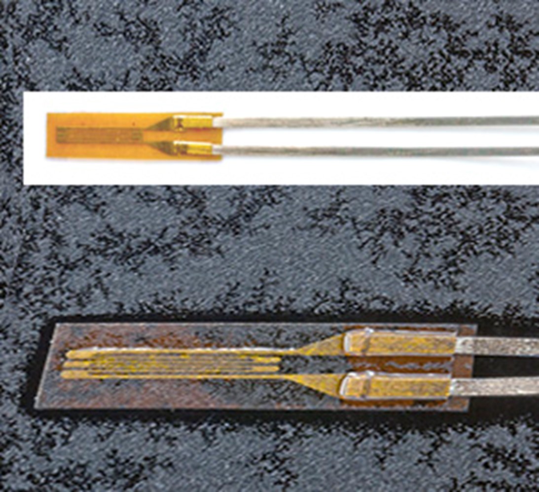 大宝娱乐-LG游戏|PT游戏|CQ9游戏