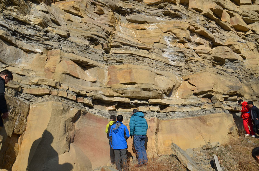 大宝娱乐-LG游戏|PT游戏|CQ9游戏