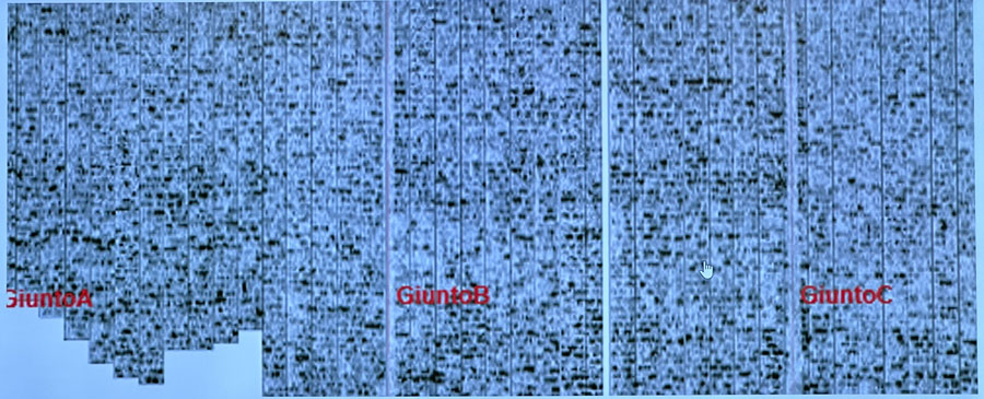 大宝娱乐-LG游戏|PT游戏|CQ9游戏