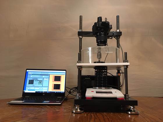 大宝娱乐-LG游戏|PT游戏|CQ9游戏